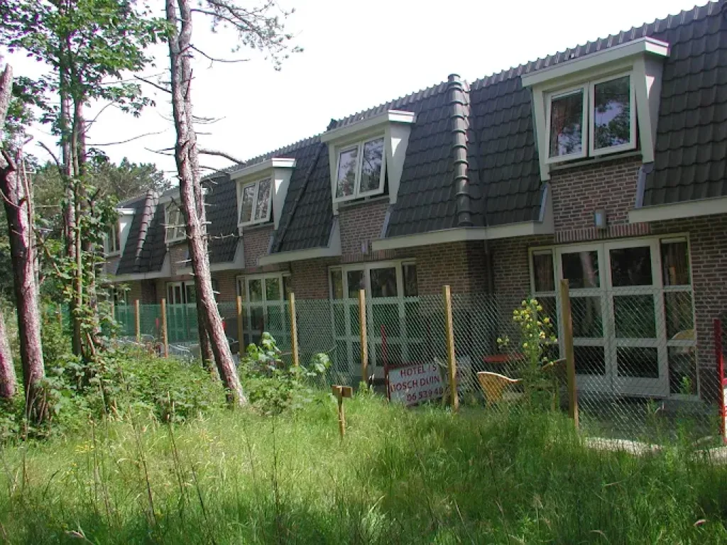 Bosch Duin Strand