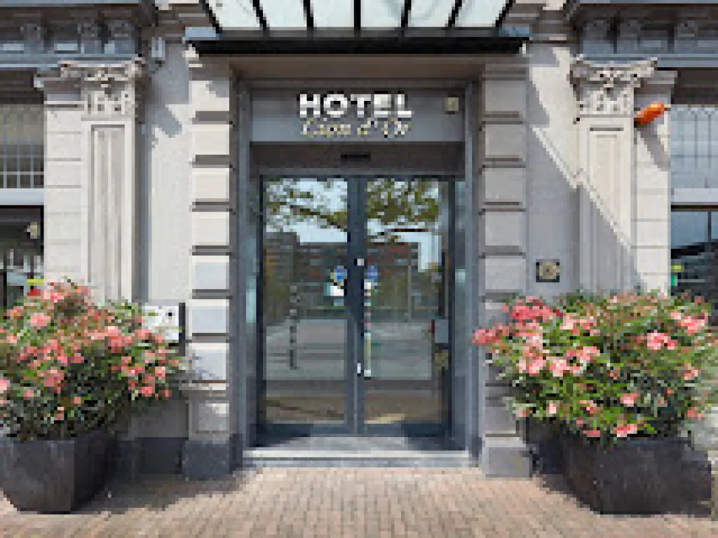 Hotel Lion D'Or