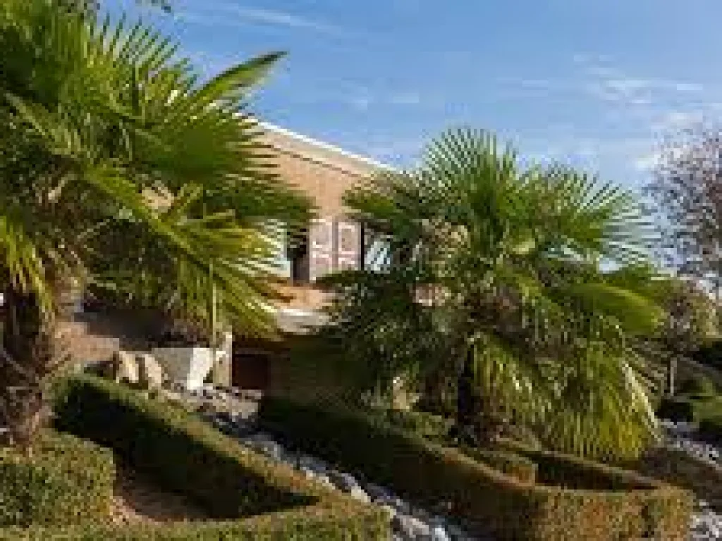 Baart's Bed and Breakfast