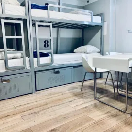 De Witte Tulp Hostel