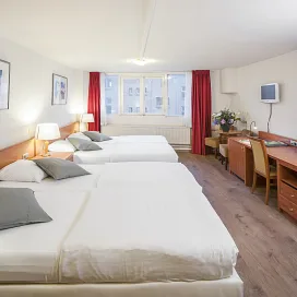 Delta Hotel
