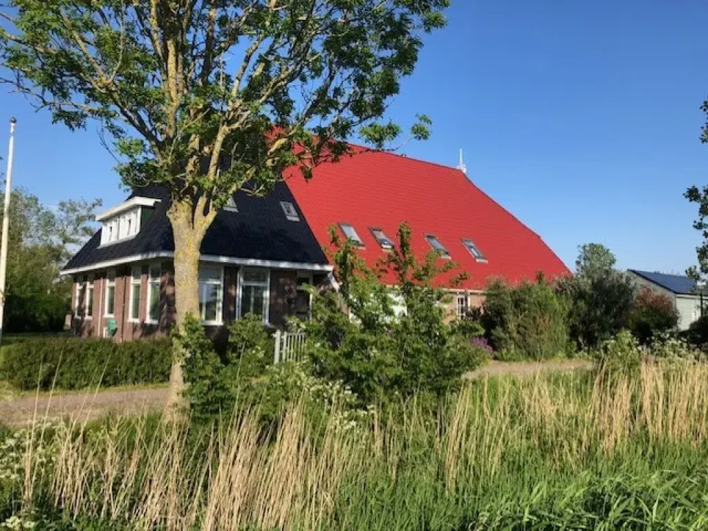 B&B De Stjelp